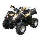 Запчасти для квадроцикла 150-200 Кубов (150-200CC) купить в Киеве по выгодным ценам | УкрМоторСервис