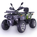 Запчасти для квадроцикла 150-200 Кубов (150-200CC) купить в Киеве по выгодным ценам | УкрМоторСервис