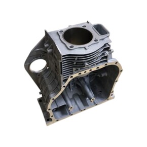 Блок двигателя D1100F