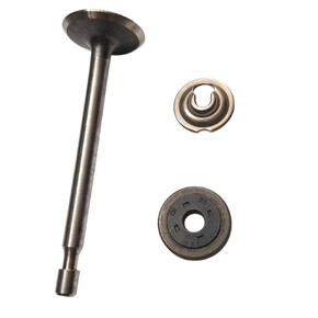 Клапан впускной briggs & stratton 499641