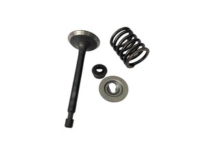 Клапан впускной briggs & stratton 715845