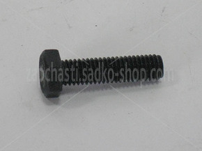 s49. Винт М 8 * 30