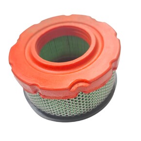 Воздушный фильтр Briggs & Stratton 797819