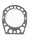 Прокладка головки блока ZN 1115 NL
