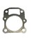 Прокладка головки блока 1P56F