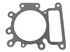 Прокладка головки блока Briggs & Stratton 796584