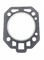 Прокладка головки блока ZH195