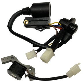 Зажигания в сборе бензогенератора 148F